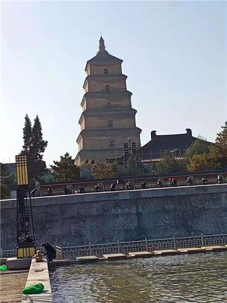 陜西景觀(guān)燈廠(chǎng)家